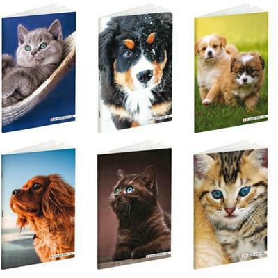 Quaderno maxi 100gr riga A BM BABY