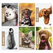 Quaderno maxi 100gr riga B BM