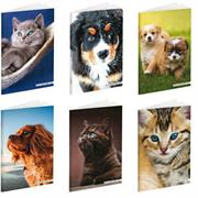 Quaderno maxi 100gr riga 1R BM