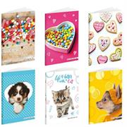 Quaderno maxi 100gr quadri 10mm BM