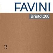 Conf.25 cartoncino Bristol Color 200gr 50x70cm marrone 75 Favini