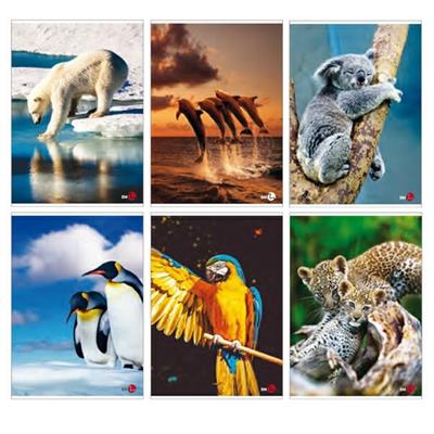 Maxiquaderno A4 40fg+2 80gr 5mm Animal 2022 BM