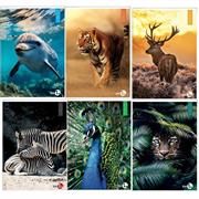 Maxiquaderno A4 40fg+2 80gr 5mm Animal 2022 BM