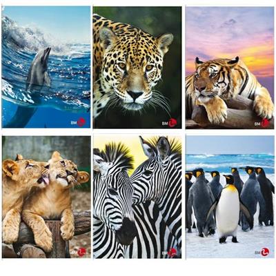 Maxiquaderno A4 40fg+2 80gr 4mm Animal 2019 BM