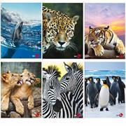 Maxiquaderno A4 40fg+2 80gr 4mm Animal 2019 BM