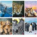 Maxiquaderno A4 40fg+2 80gr 4mm Animal 2019 BM