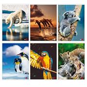 Maxiquaderno A4 40fg+2 80gr 4mm c/margine Animal 2019 BM