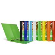 Raccoglitore personalizzabile NETTUNO TI 30 4D A422x30cm col.ass