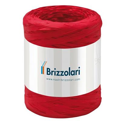 Rafia sintetica 6802 5mmx200mt colore rosso 07 Brizzolari