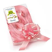 Nastro strip rosa opaco 31 mm. 2100 5