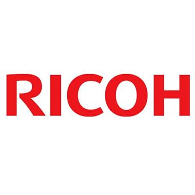 Toner ricoh 310hey giallo 6000pg