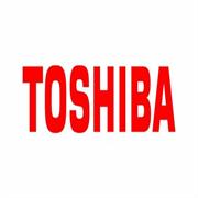 VASCHETTA RECUPERO TONER TOSHIBA TB-FC505E