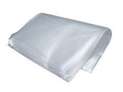 Sacchi nylon minigrip 25x35 100pz willchip 50 micron