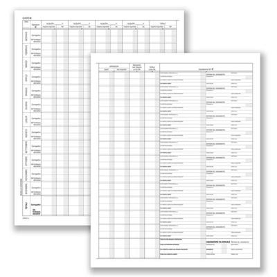 Registro prospetto riepilogativo assoc.sportive 8pag. 31x24,5cm