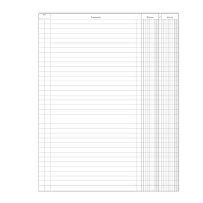 Registro Entrate-Uscite 100pag. 31x24,5cm DU135800000 Data Uffic