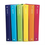 Raccoglitore Colorosa 4R Ã¸30mm col.ass 245x307mm