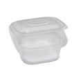 Pack 50 contenitori in PP con coperchio incernierato 12x12cm Cuk