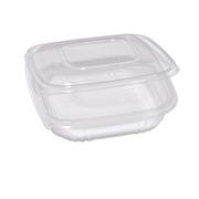 Pack 50 contenitori in PP con coperchio incernierato 18,5x18,5cm