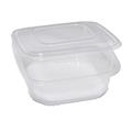 Pack 50 contenitori in PP con coperchio incernierato 21,5x21,5cm