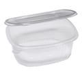 Pack 50 contenitori ovali in PET con coperchio incernierato 22,5