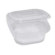 Pack 50 contenitori in PP con coperchio incernierato 15,5x15,5cm