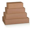 Scatola box per gastronomia d'asporto linea Boite 40x32x12cm ava