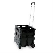 Carrello pieghevole con cassa in plastica portata max 25kg