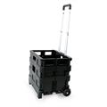 Carrello pieghevole con cassa in plastica portata max 25kg
