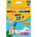 ASTUCCIO 12 MATITE KIDS EVOLUTION TRIANGLE BIC
